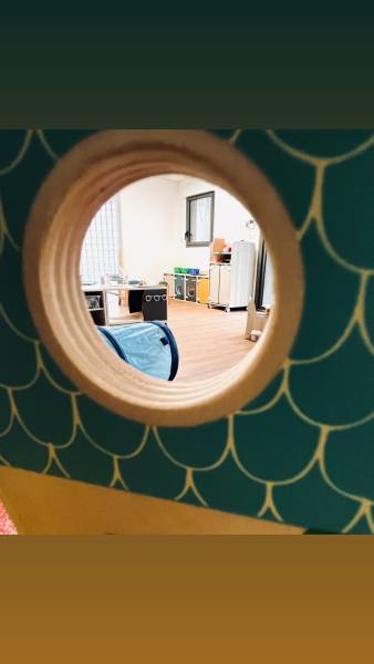 Ô PETITS AIGLONS à Nice